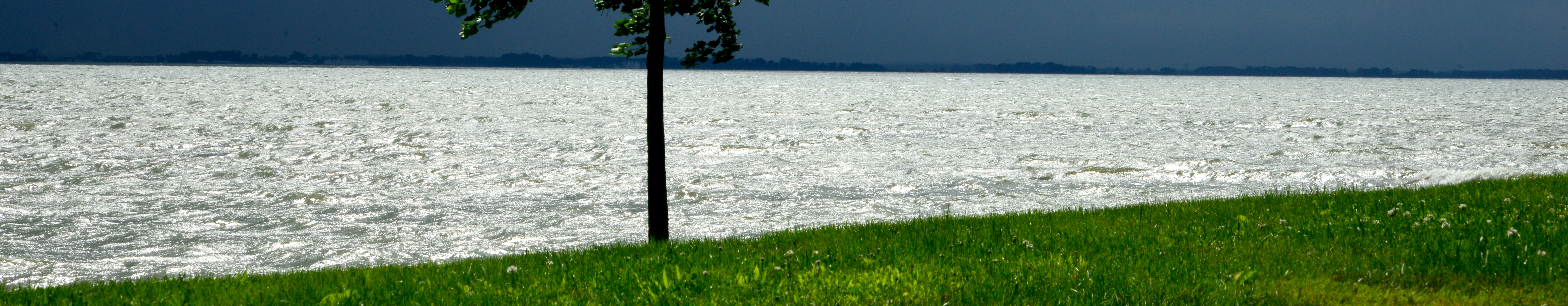 TravelBanner